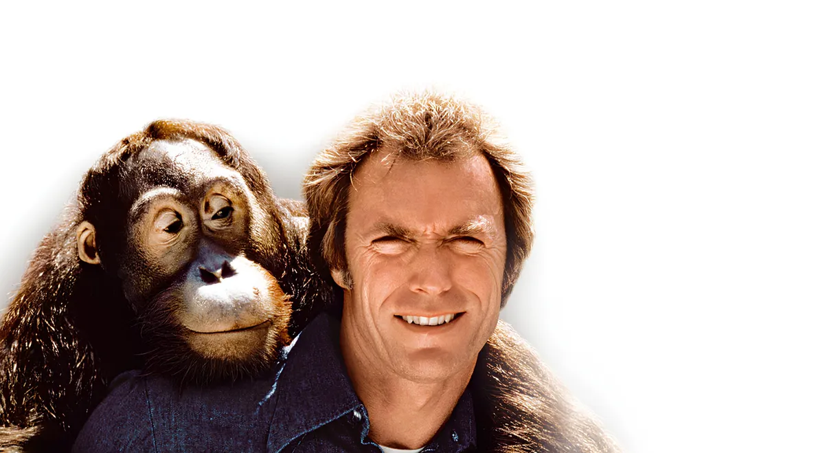 Any Which Way You Can