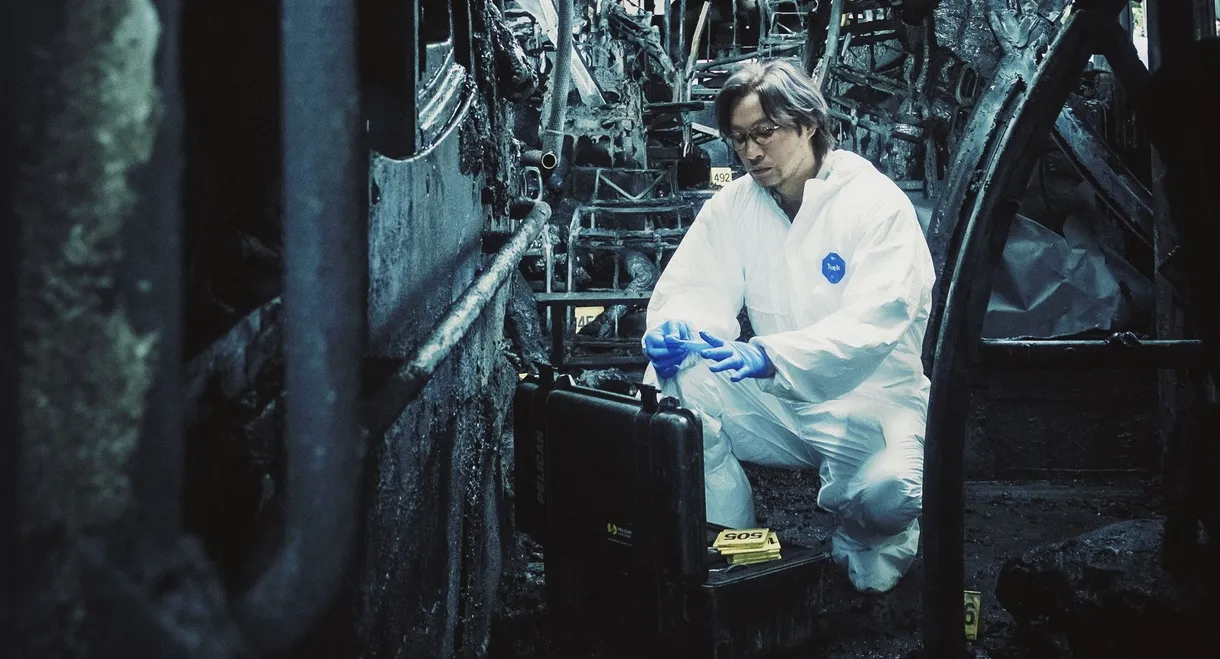 We're Nothing at All