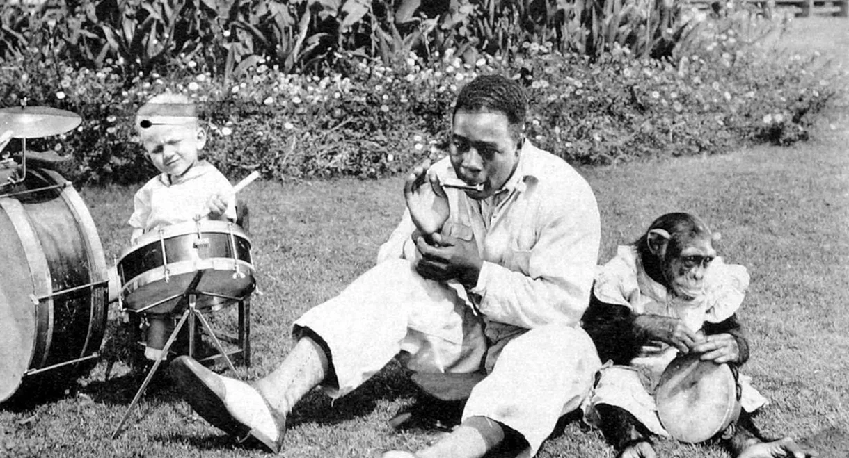 Who's Who in the Zoo