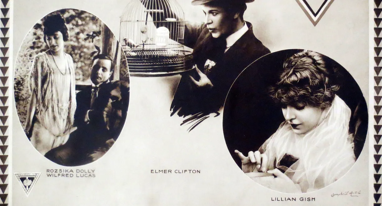 The Lily and the Rose