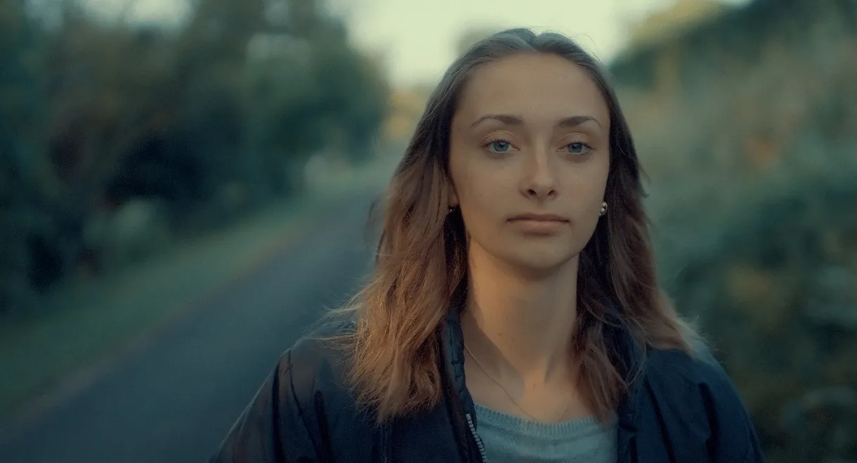 Se souvenir des tournesols