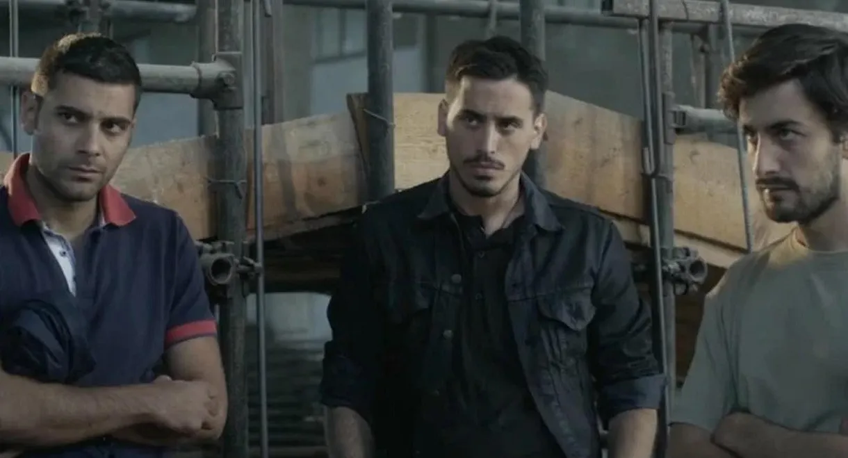 La notte non fa più paura