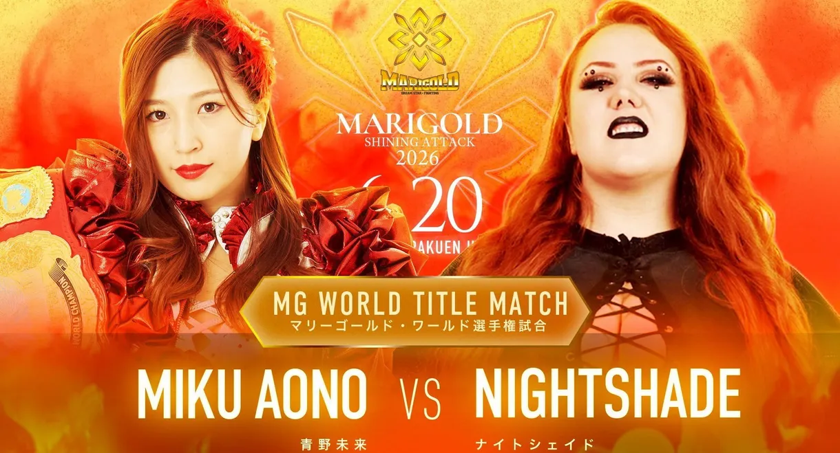 Marigold Shining Attack 2026 ~ Day 14