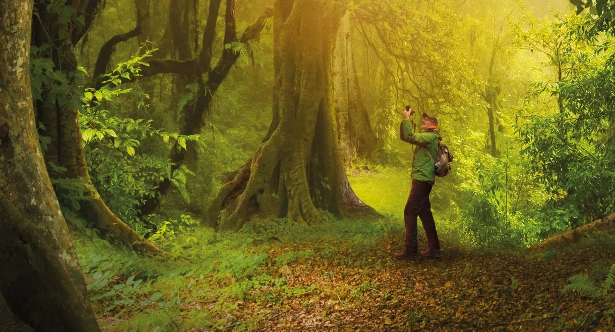 The Hidden Life of Trees