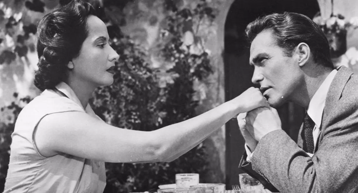 24 Hours of a Woman's Life