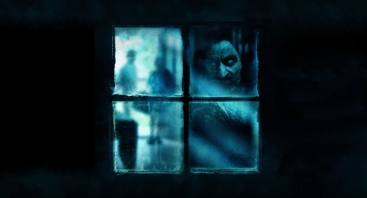 The Witch in the Window