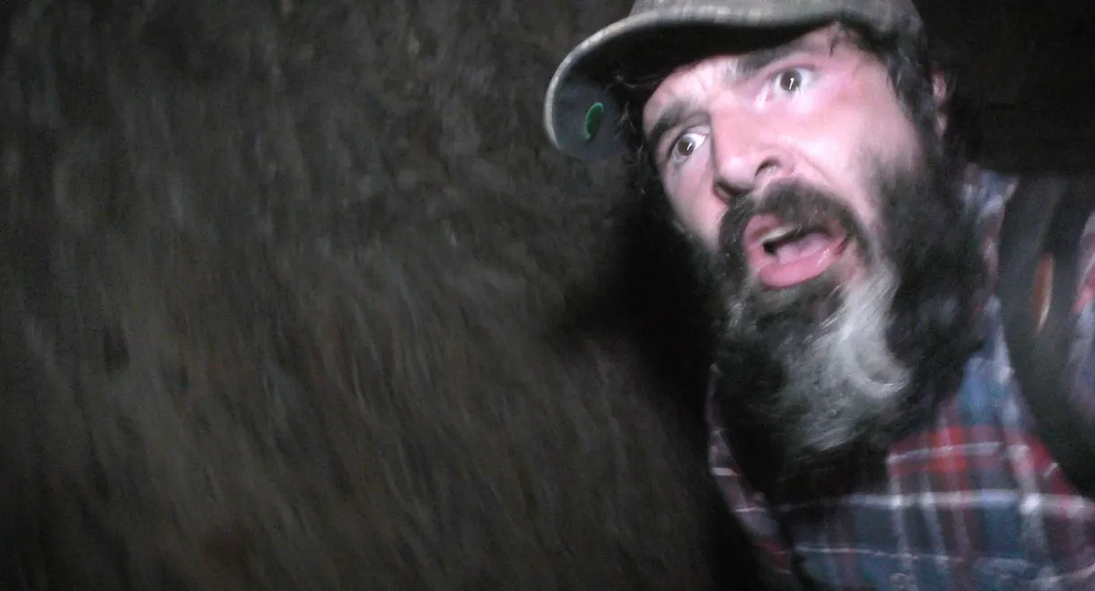 Wilderness Tapes: Volume One