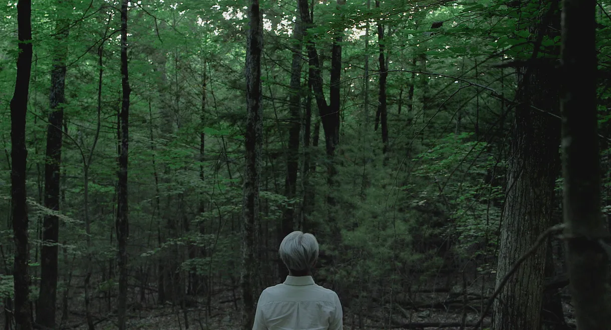 Ryuichi Sakamoto: CODA