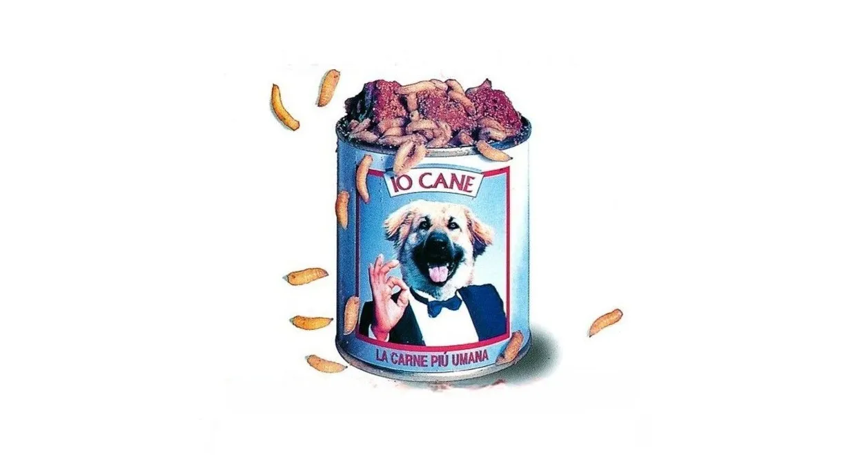 Consigli per gli acquisti