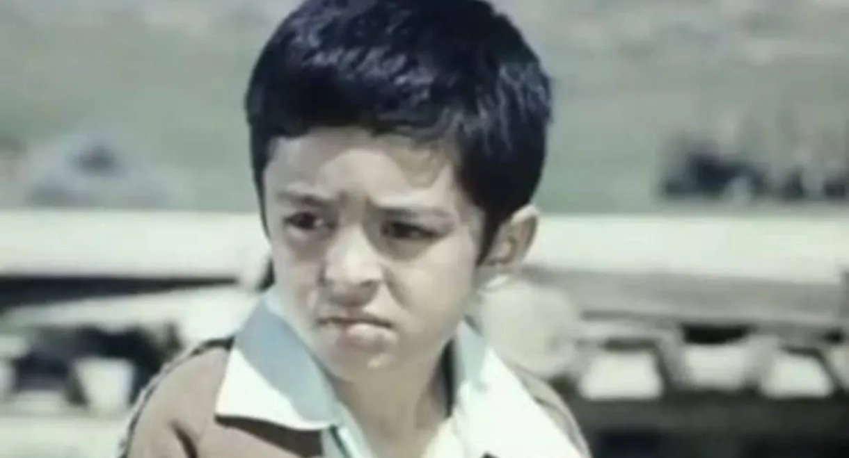 The Education of a Man