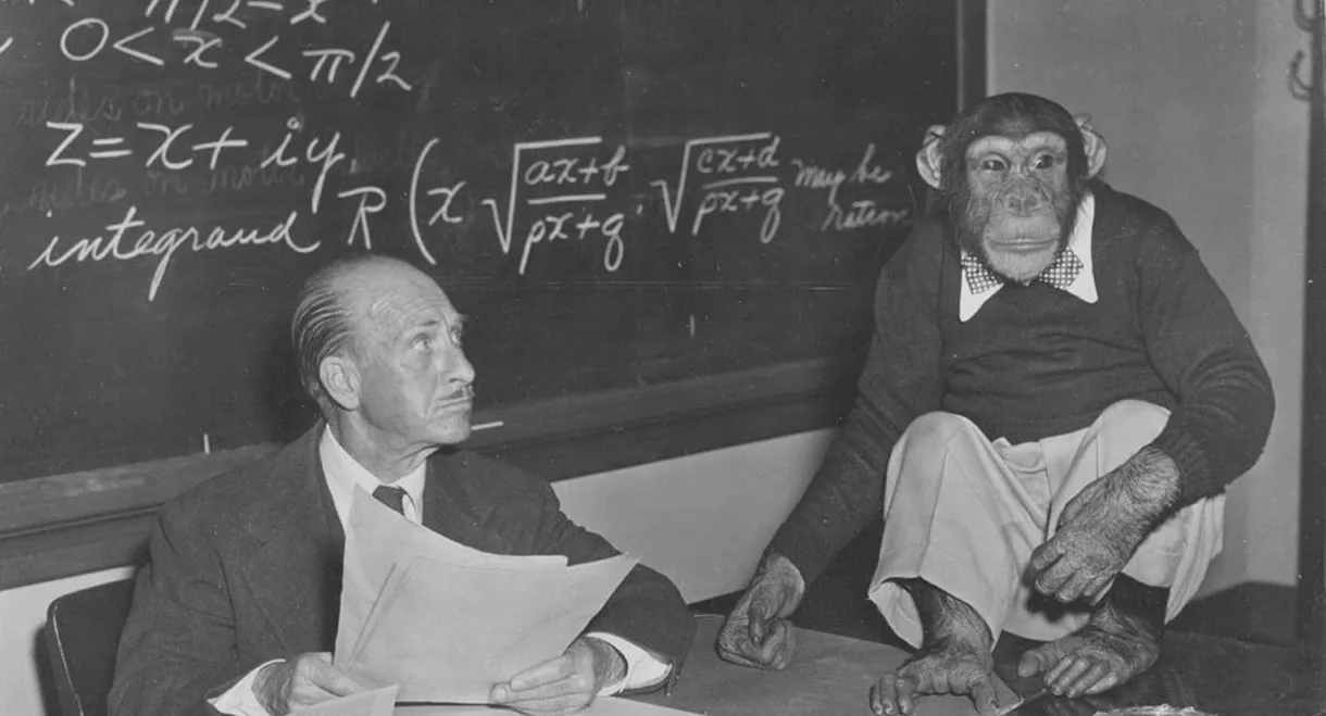 Bonzo Goes to College