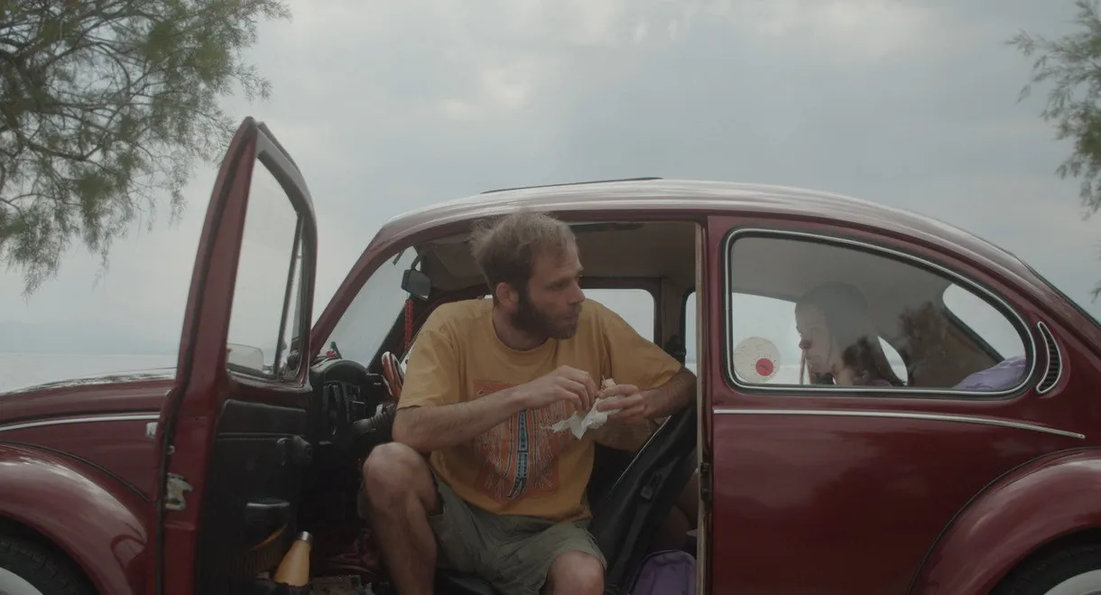 Days of a Lilac Summer