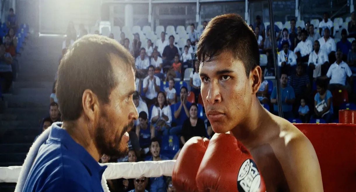 The Taste of Knuckles