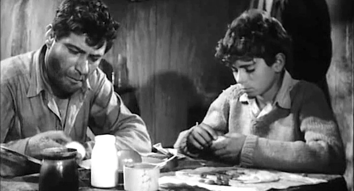 The Boy Across the Street