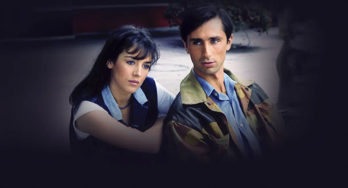 Clara and the Why Not