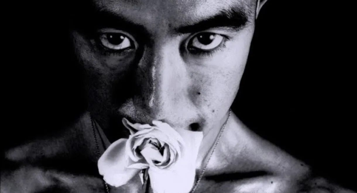 The Strange Case of Yukio Mishima