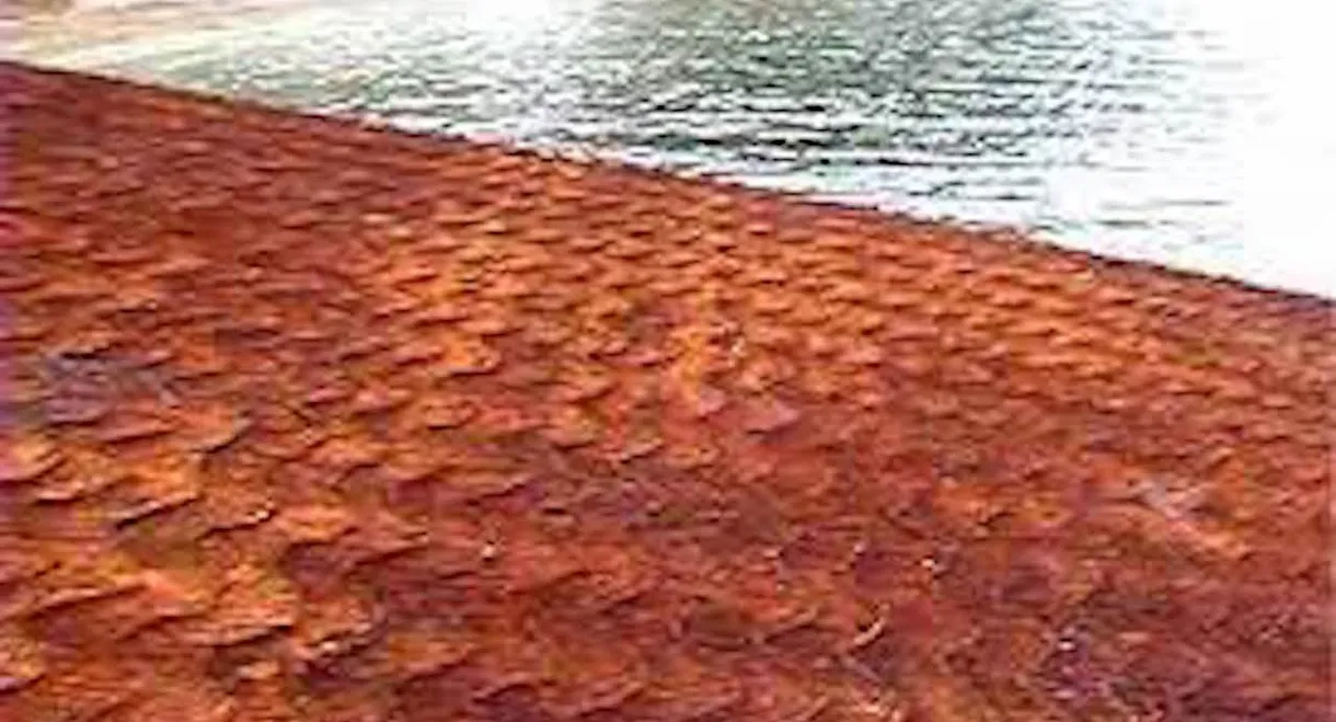 EBIZUKA in my own field