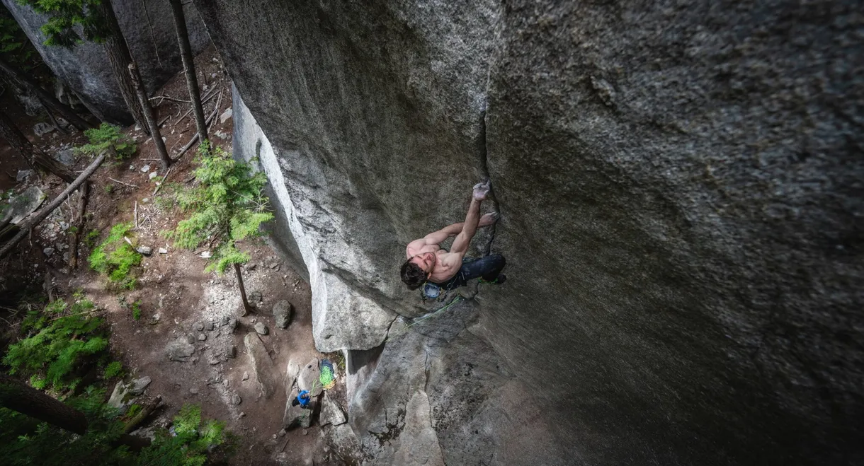 The Cobra and the Heart