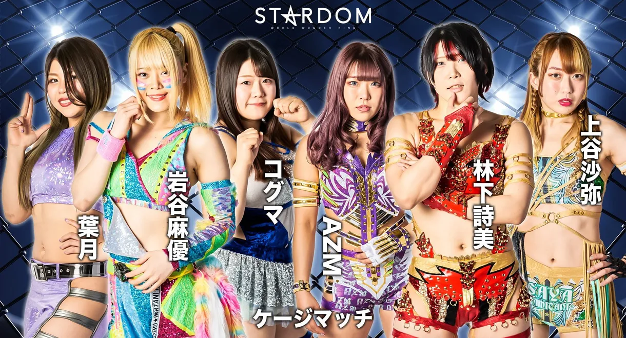 Stardom Fight in the Top 2022 ~Nagoya Summit Battle~