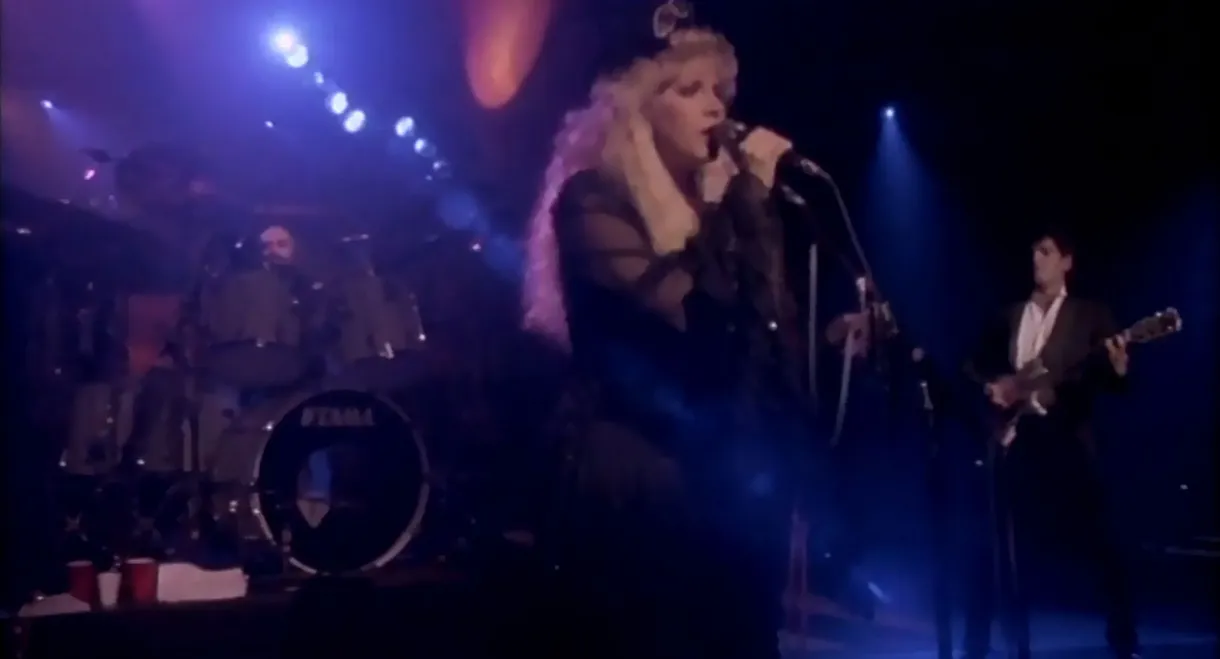 Fleetwood Mac: Tango In The Night