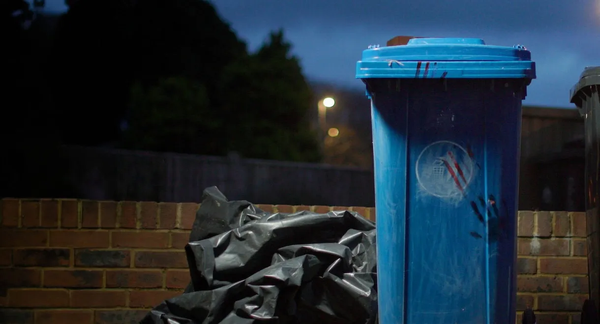 Body in the Bin: The Murder of Louise Kam