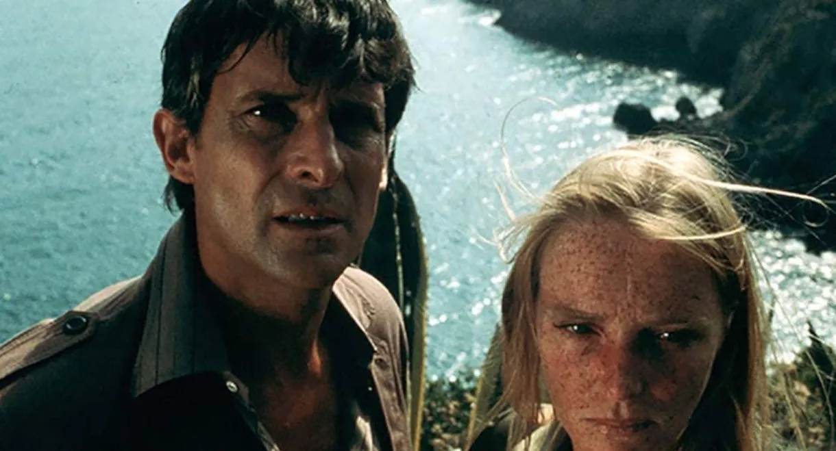 The Secret of Seagull Island