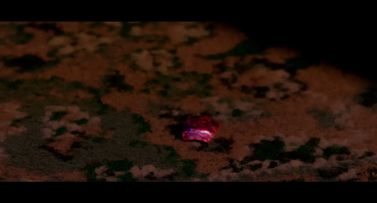 You Owe Me Your Life