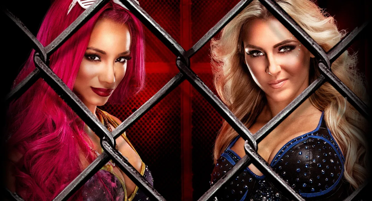 WWE Hell in a Cell 2016