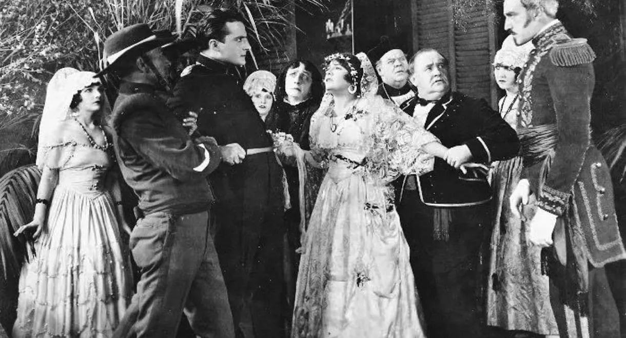 The Spider and the Rose