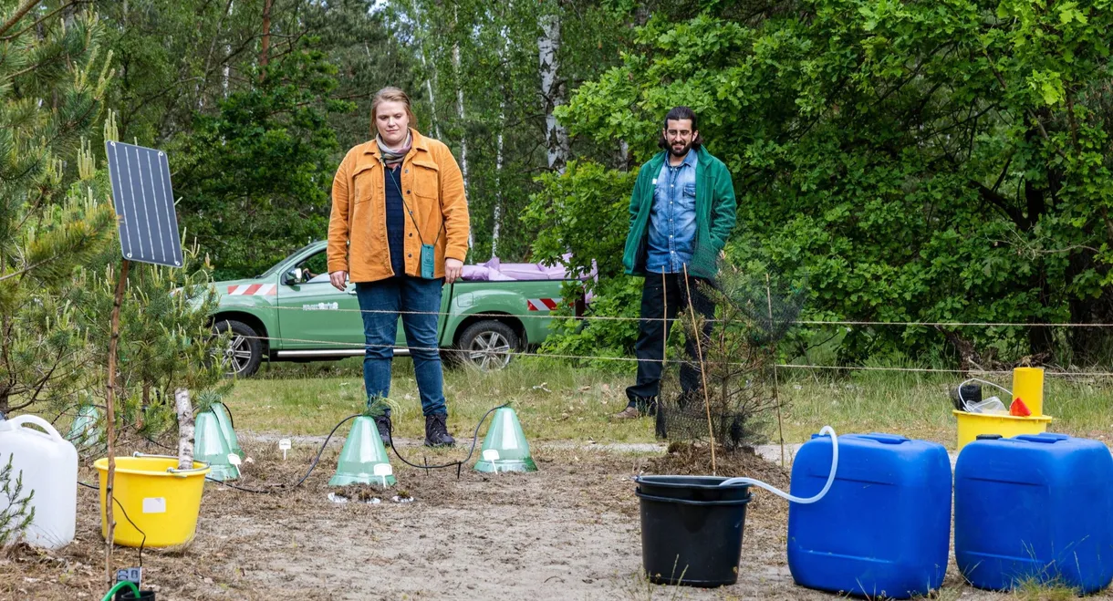 Großstadtförsterin – Berliner Besonderheiten
