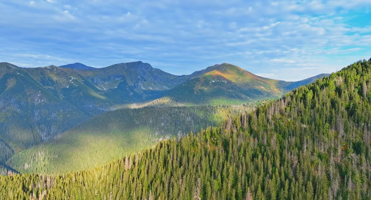 Disappearing World of the Capercaillie