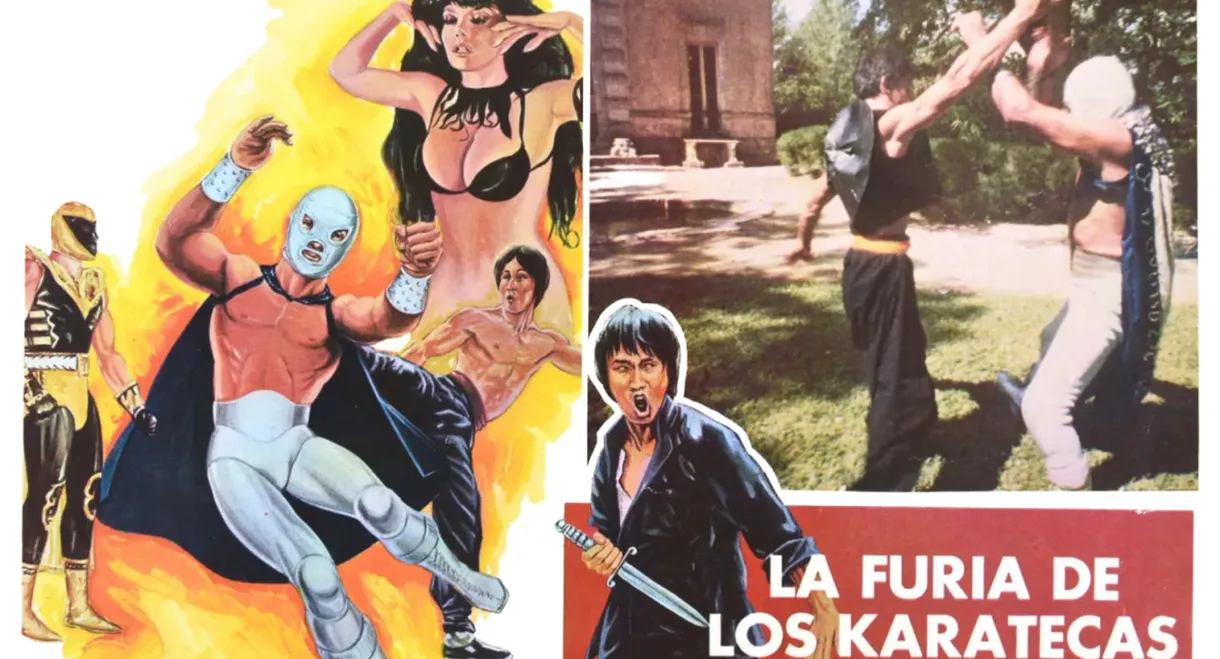 The Fury of the Karate Experts