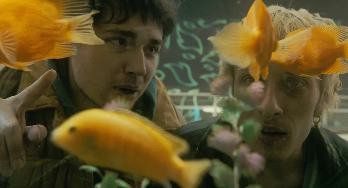 Ilya & Zakhar: Maslenitsa at the Limit