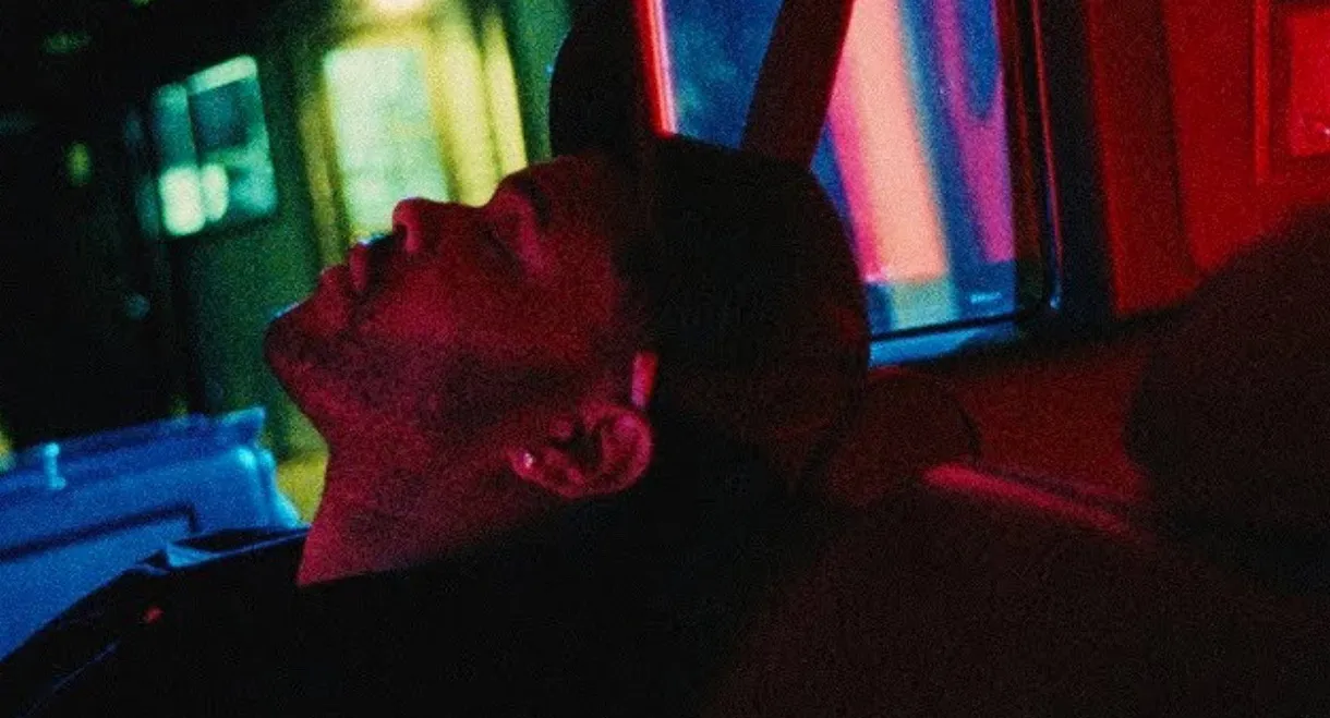 He Was Never There, Docupoem