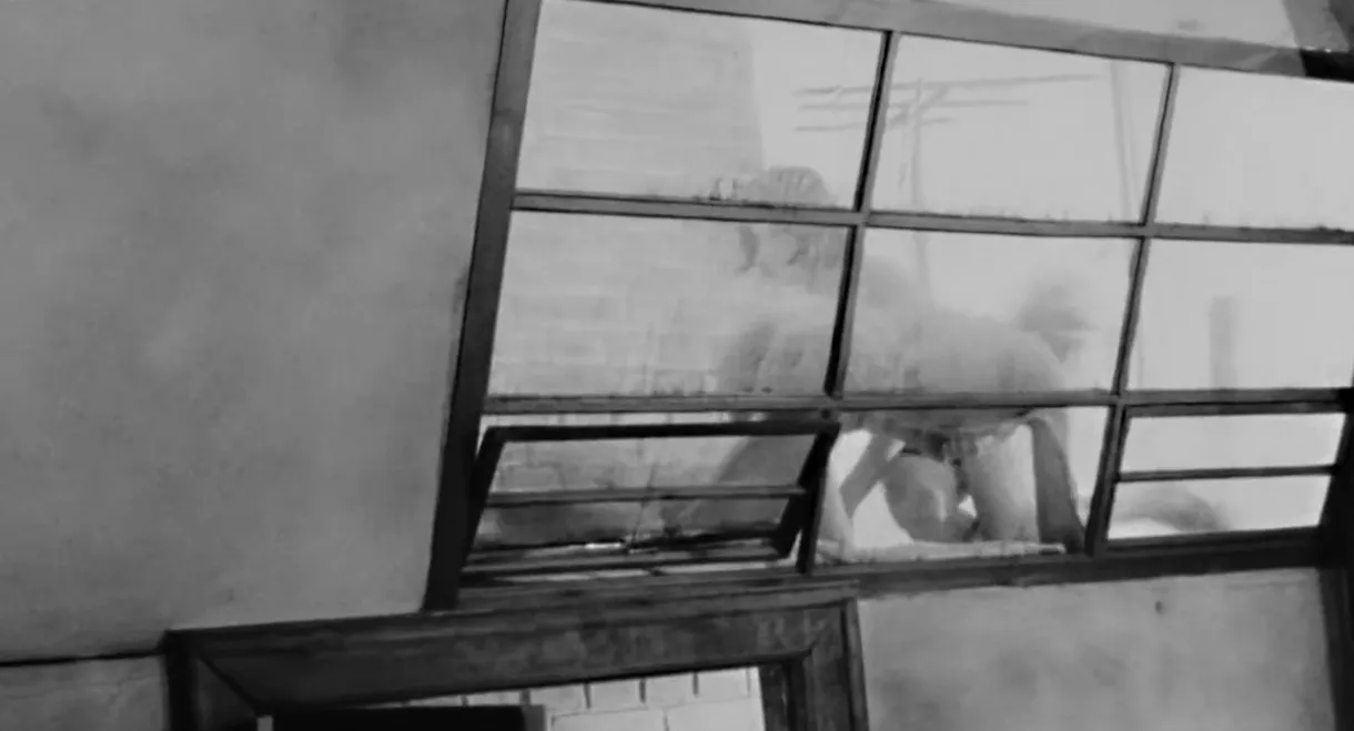 Identification Marks: None