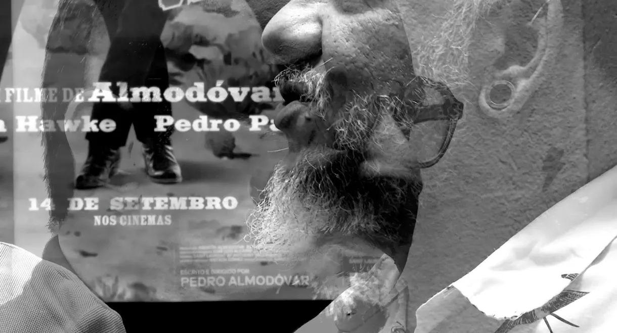 Breve