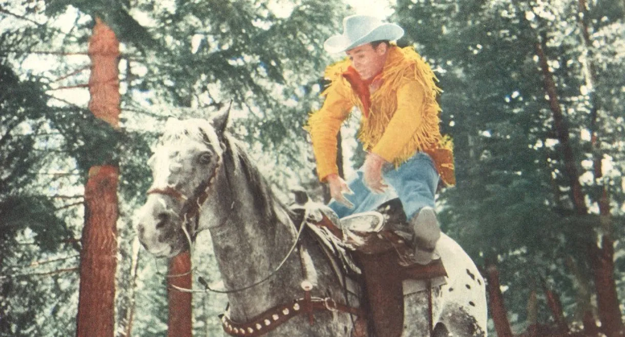 The Tilted Tenderfoot