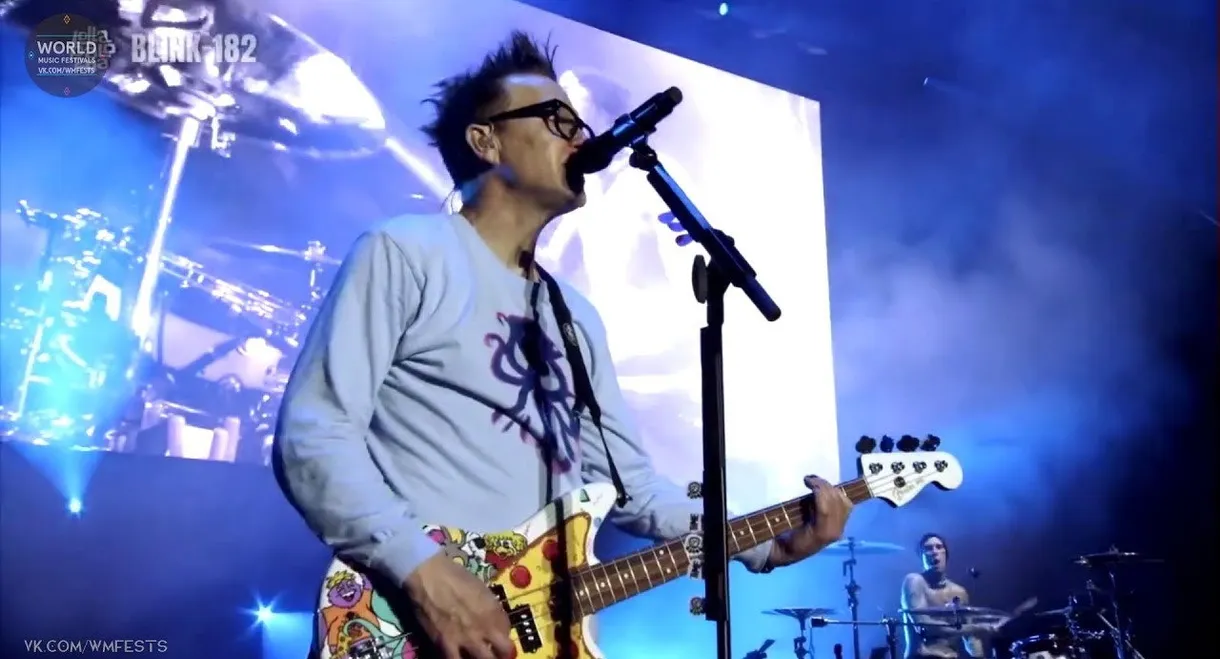 blink-182: Live at Lollapalooza