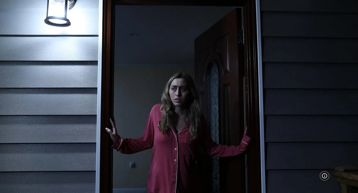 The Girl We Let In