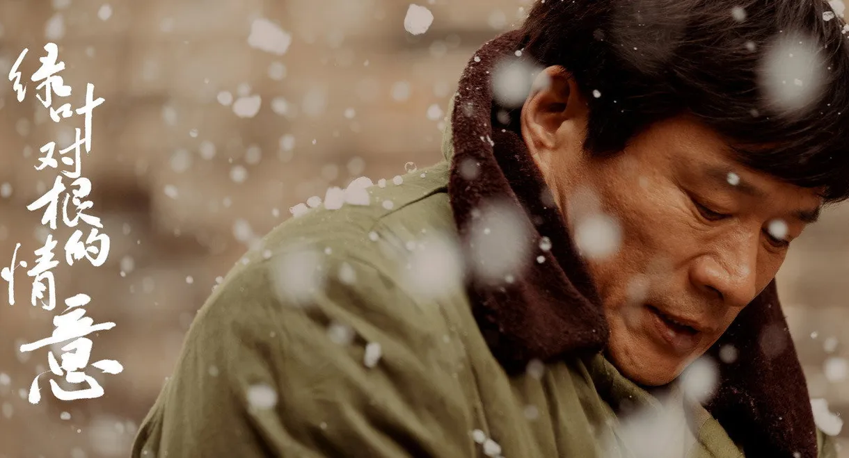 The Trembling of A Leaf