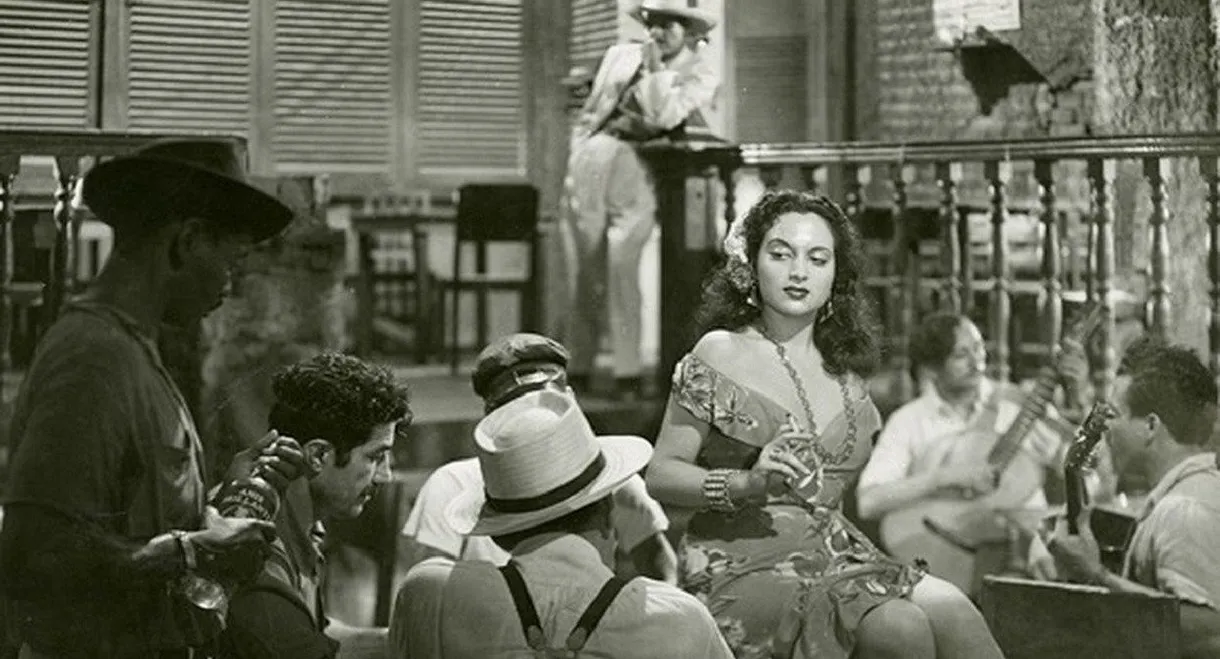 The Yacht Isabel Arrived This Afternoon