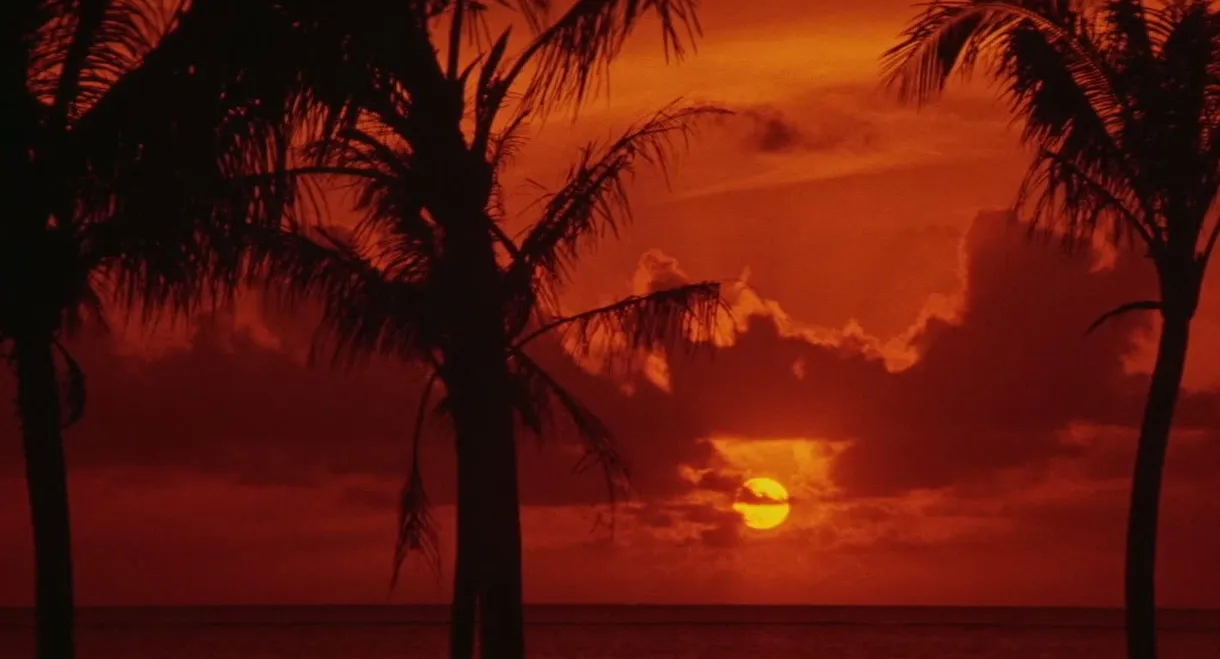 Japanese Godfather: Conclusion