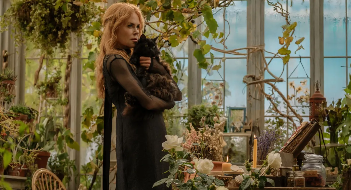 Practical Magic 2