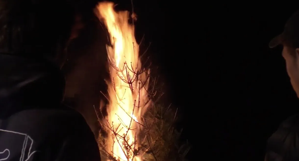 The Death of Bobby Crow