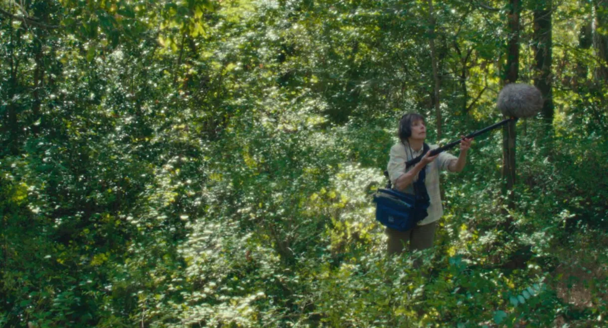 The Mysterious Adventures of Claude Conseil