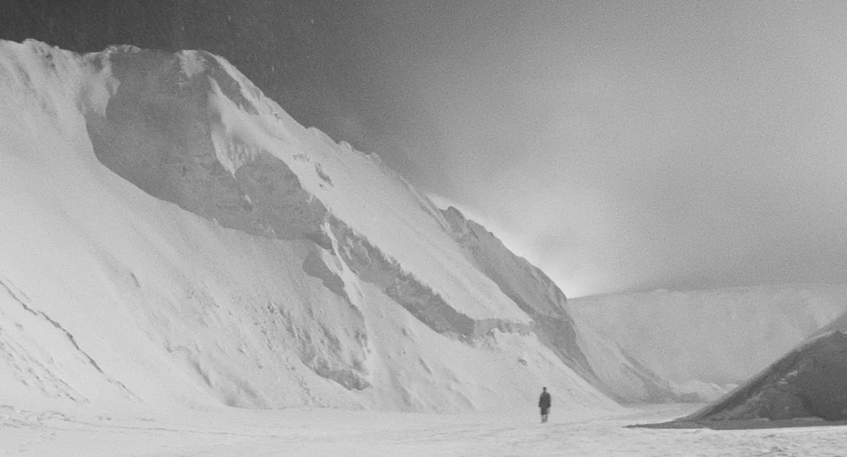 The Year Before the War