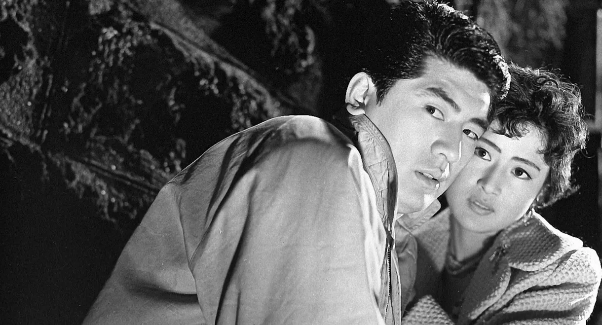 Shadow of Intimidation