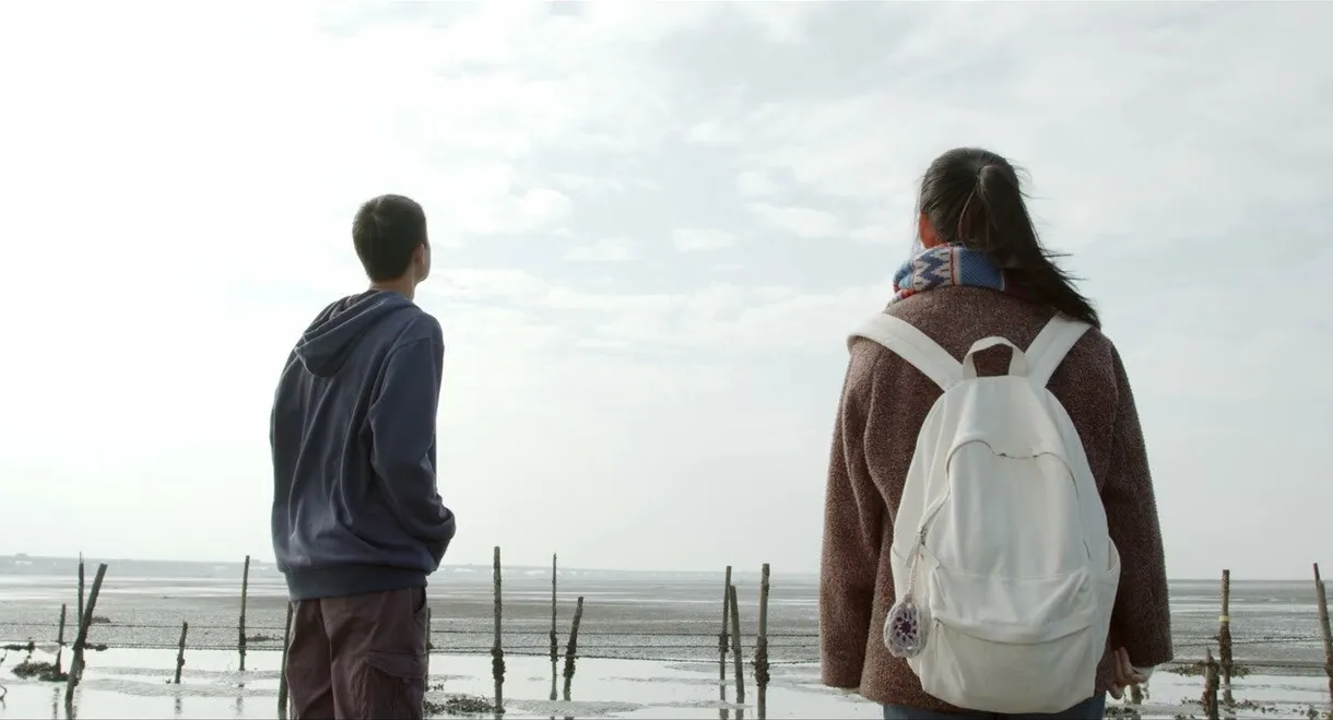 Cattle, Oyster and Memories​