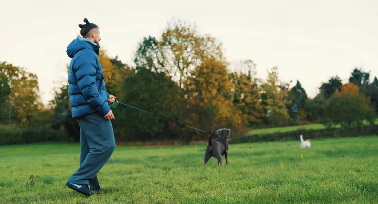Radu Drăgușin: Life & Recovery