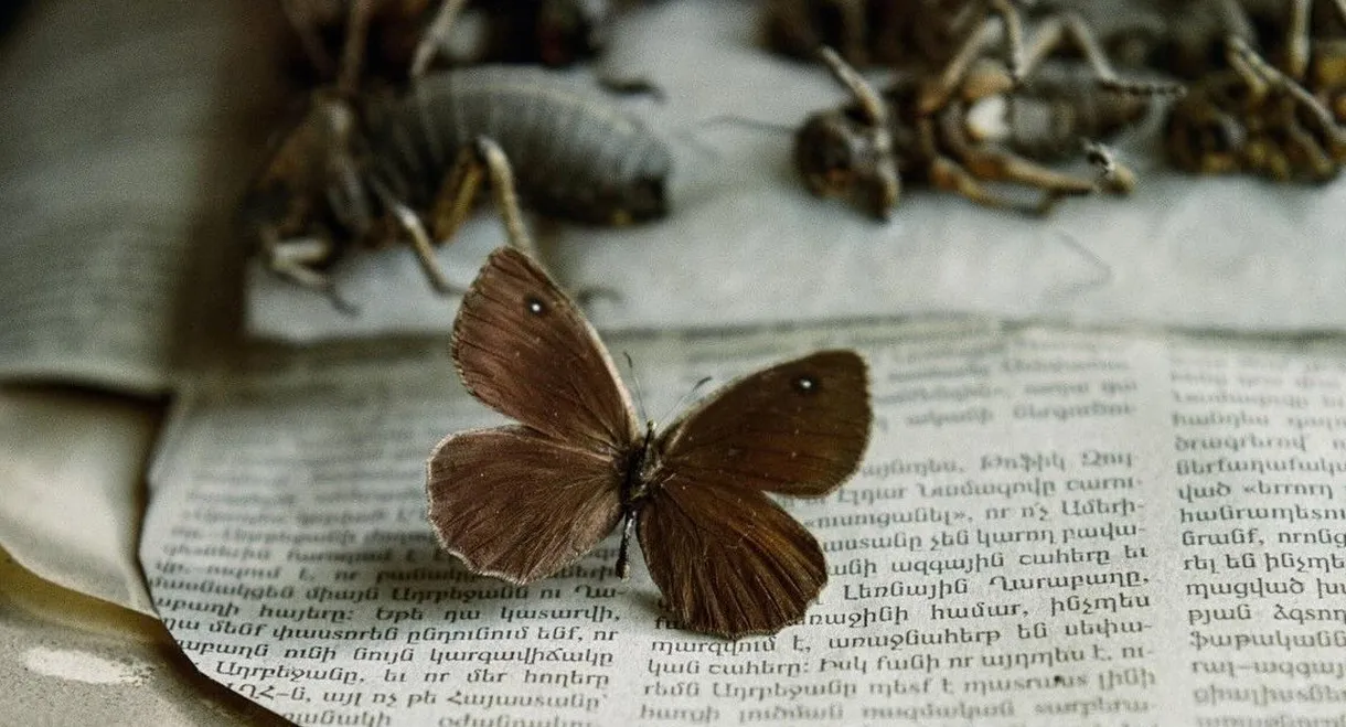 Searching for Satyrus